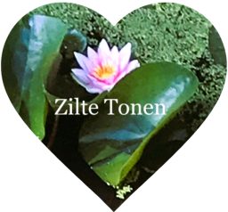 Logo Zilte Tonen, mooi lotus in hartvorm